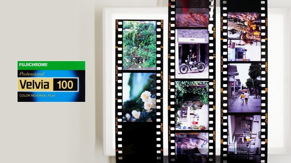 リバーサルフィルム『ベルビア100』で撮ったスナップ写真作例 | Camera