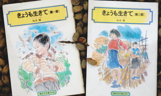 今日も生きて 第一部 偕成社文庫 天のふうせん 坂本遼 きょうも生きて