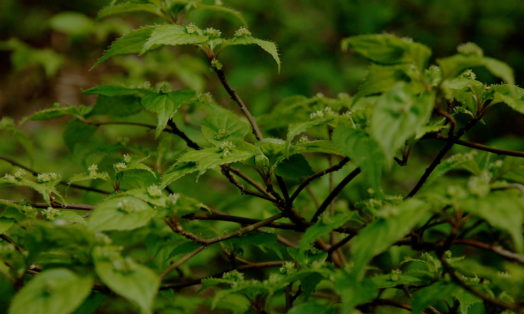 坂本遼（1959年）『きょうも生きて』||| – ||||| YAMADA,Toshiyuki |||