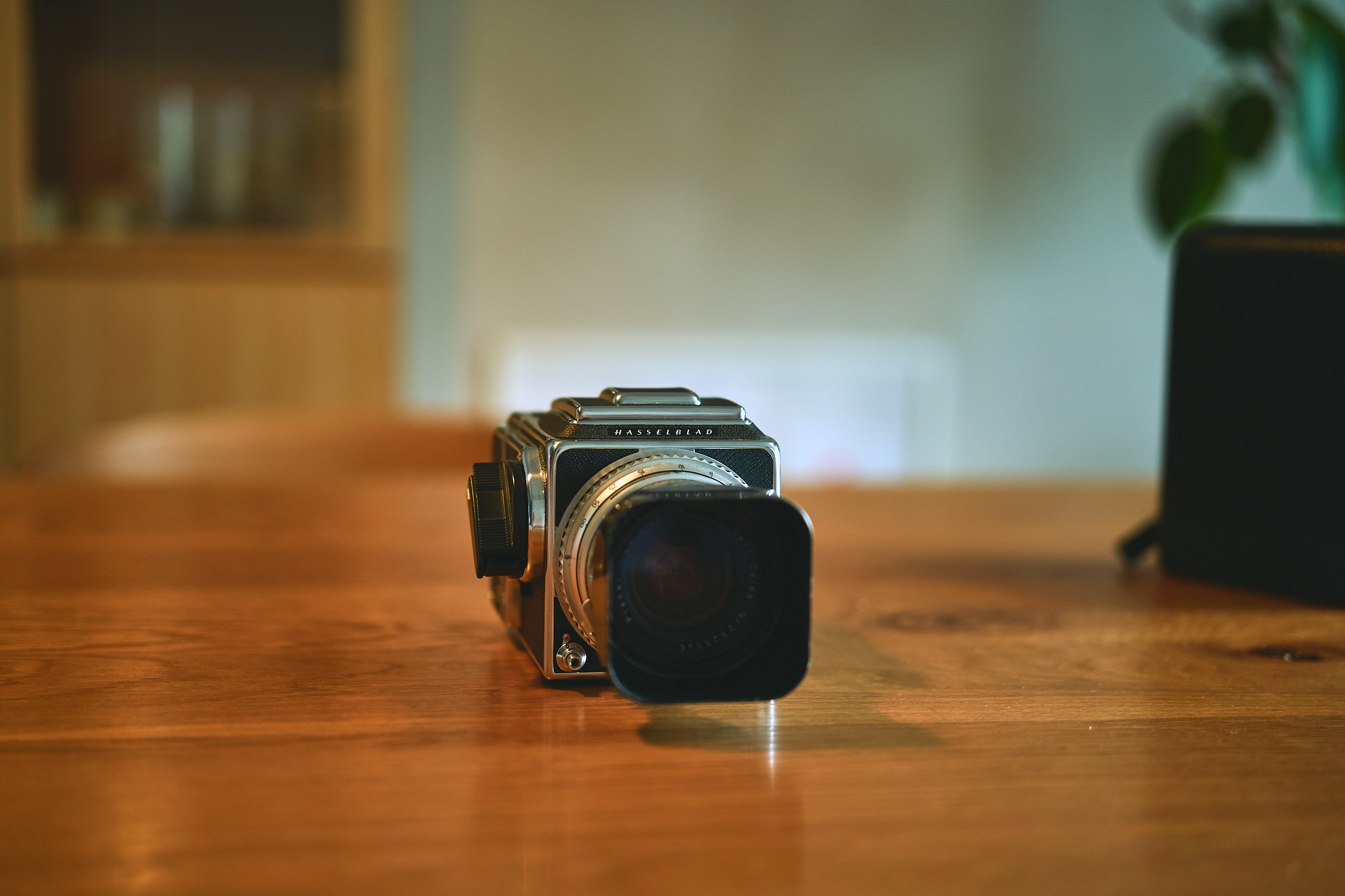 HASSELBLAD 500C/M + Planar C 80mm F2.8 + A12 | 写真は自分らしく