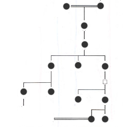 1318夜 『模倣の法則』 ガブリエル・タルド − 松岡正剛の千夜千冊