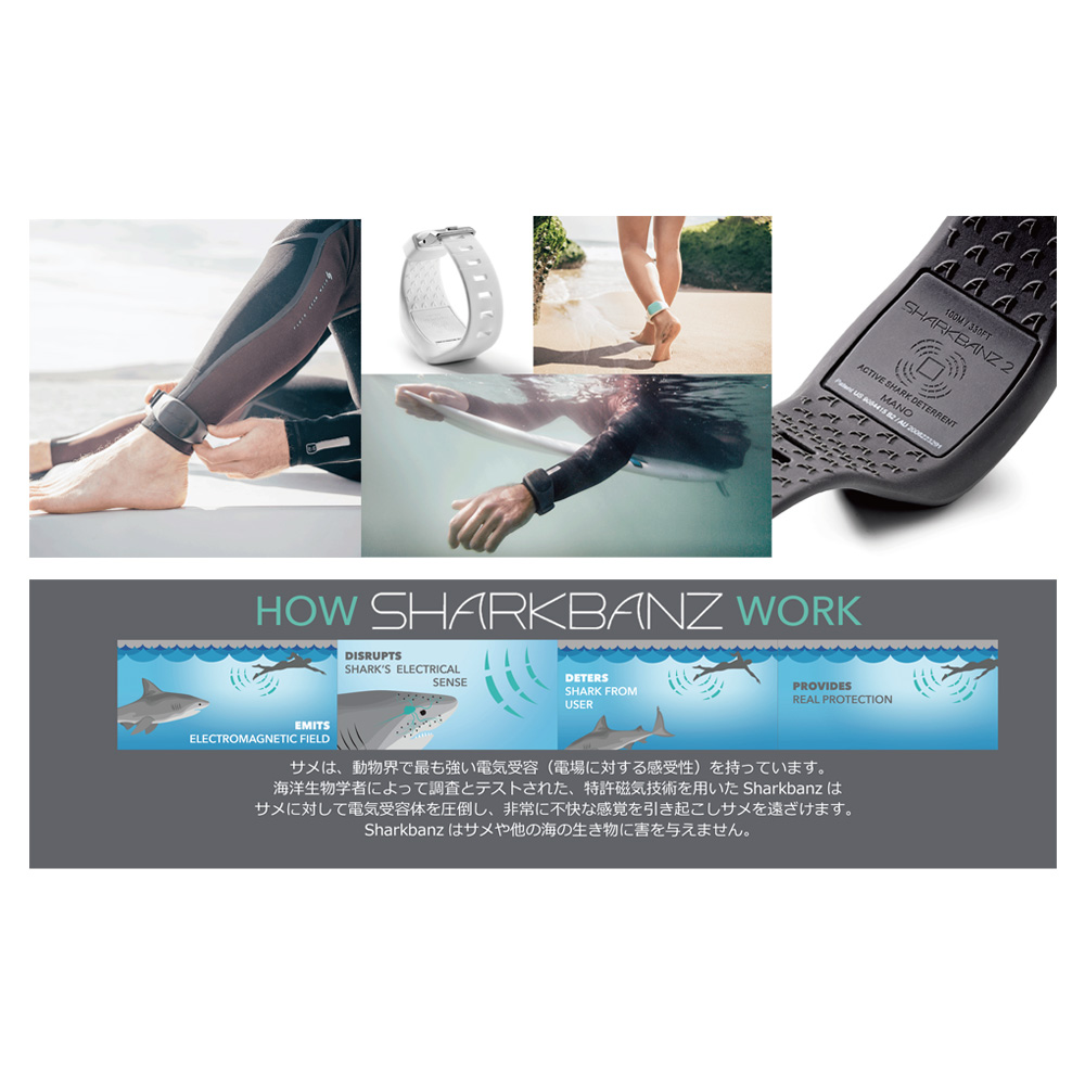 ONE WORLD LTD. / SHARK BANZ 2 SLATE-BLACK｜シャークバンズ