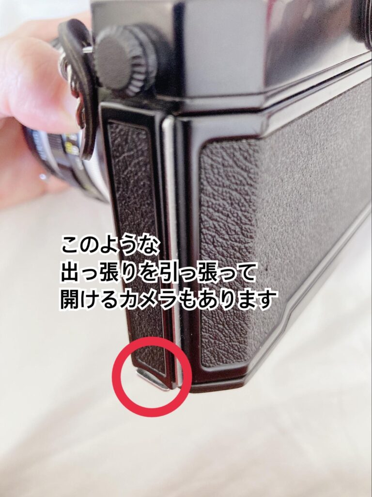 家にある古いカメラを使いたい！フィルム一眼レフカメラの使い方と動作