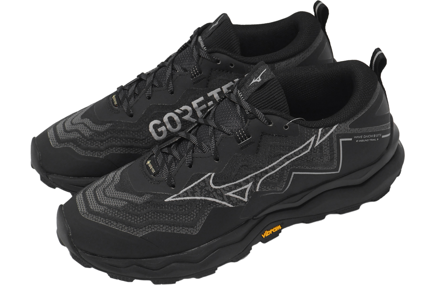 Mizuno Wave Daichi 9 GTX Black / Grey - Jan 2025 - J1GJ255601