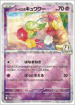 トレ研ポケカ】コレクションファイルセットN コレクションファイル