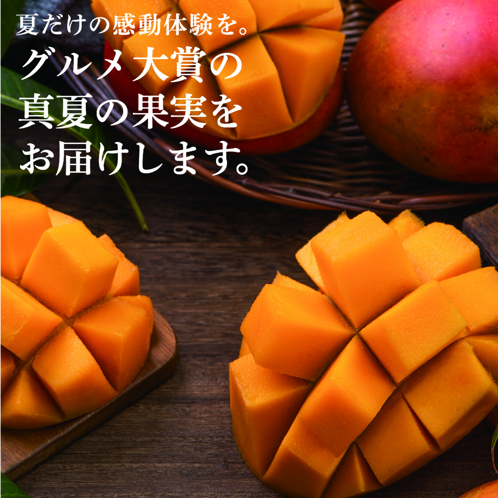 宮崎完熟マンゴー特大玉10玉 | タマチャンショップ 公式オンライン