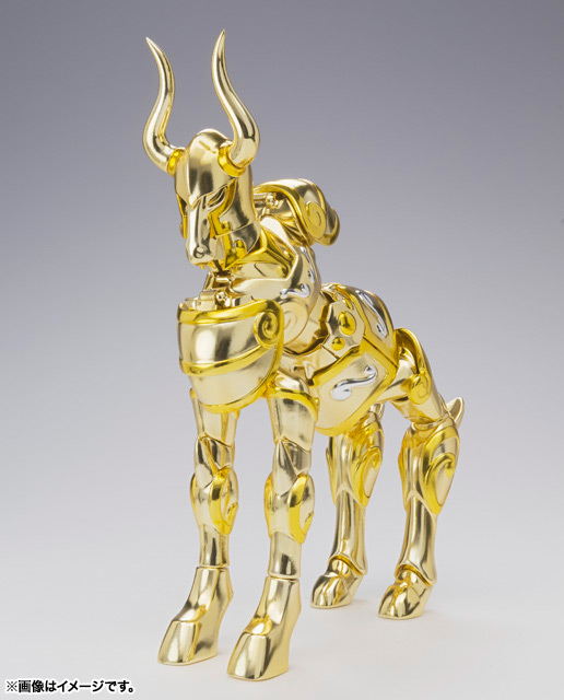 聖闘士聖衣神話EX カプリコーンシュラ | 魂ウェブ