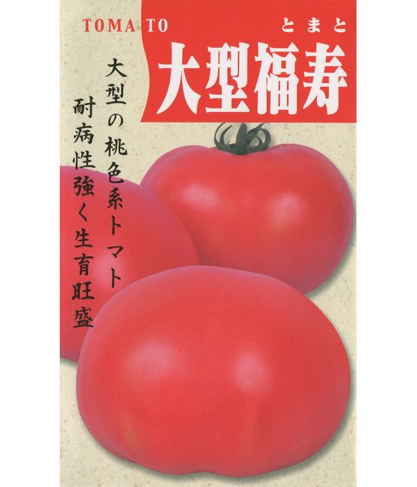 一代交配 大型福寿（ｵｵｶﾞﾀﾌｸｼﾞｭ）(トマトの種）|固定種 在来種に強い