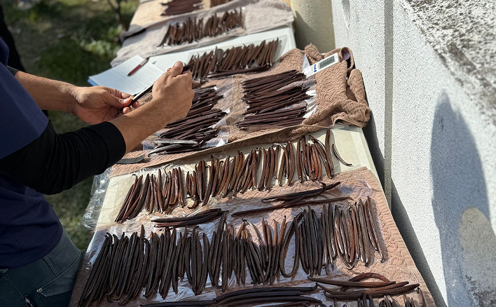 ラ コリーナ日誌 | ラ コリーナ近江八幡 | たねや