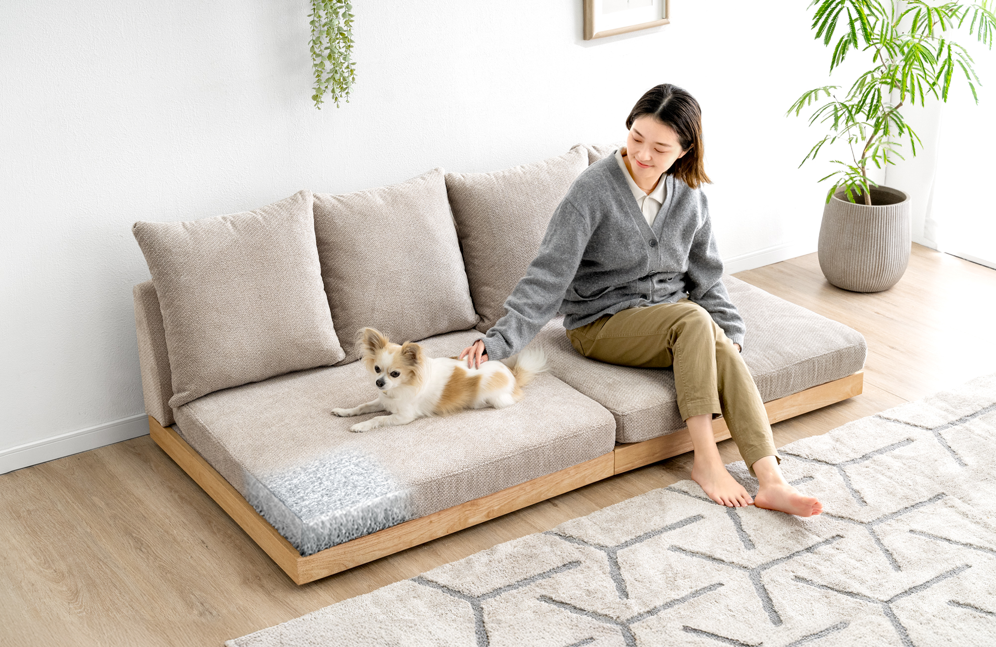 座面の中”まで洗えるソファ登場 — 【公式】タンスのゲン本店 - 家具