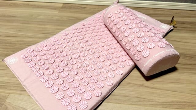 インド発祥のシャクティマットがスゴすぎた】剣山の上で寝る！？美容