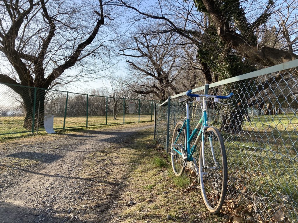 MIYATA FOLIO 700C | Maybe you can go!