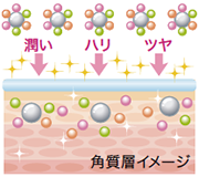 たかの友梨ビューティクリニック／株式会社不二ビューティ