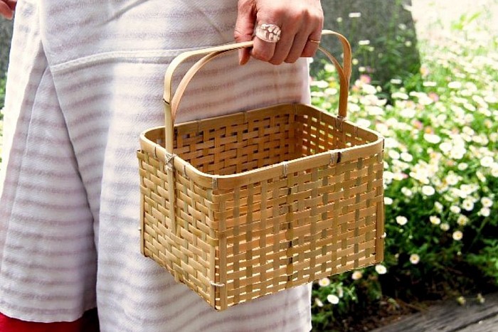 タケカンムリのホームページ