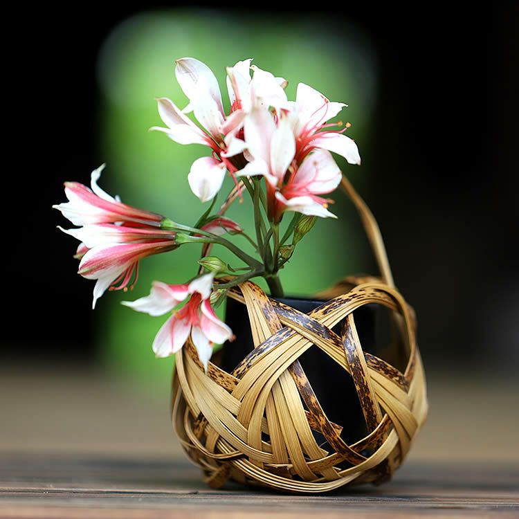 000000002312-01.jpg?size=m&w=