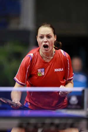 バタフライ:テナジー05FXの格安通販 - 卓球ナビ