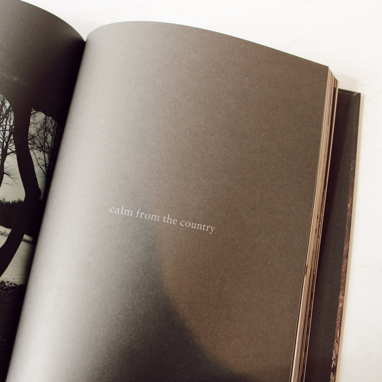 Axel Vervoordt's Wabi Inspirations Hardcover - Tavolo Shoppe