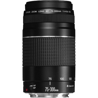 Canon EF-S 55-250mm f/4-5.6 IS STM Lens : Target