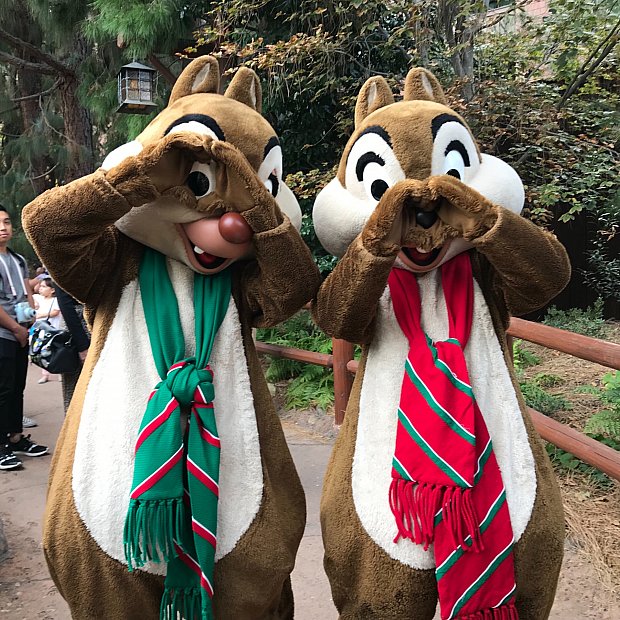 カリフォルニア アドベンチャーで唯一チップとデール に会える場所