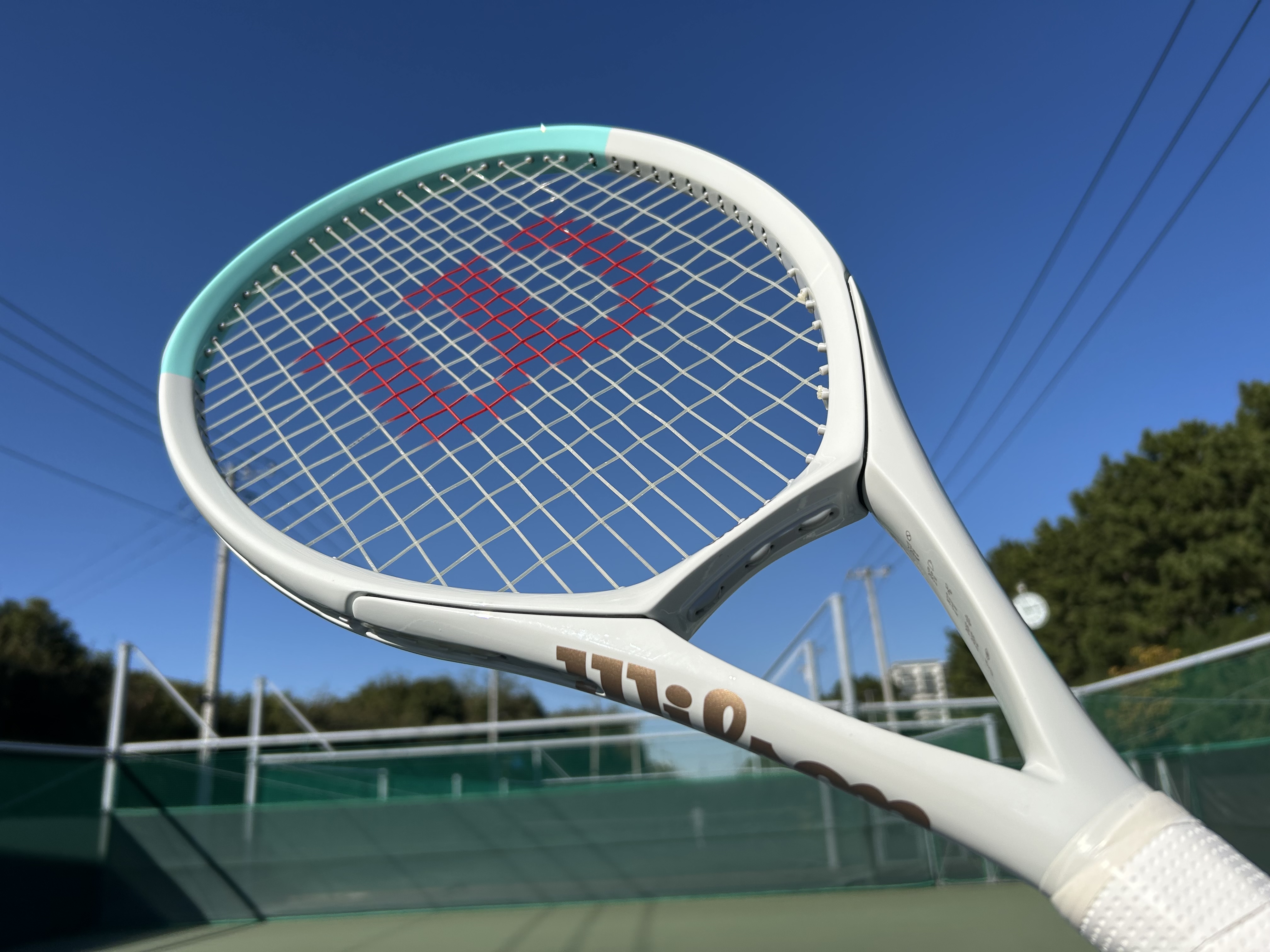 11月 | 2024 | テニス用品に関するブログ＠テニスショップLAFINO 冨貴