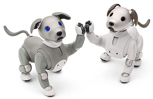 aiboの誕生から5年！ 2023年ニューカラーモデル『aibo エスプレッソ
