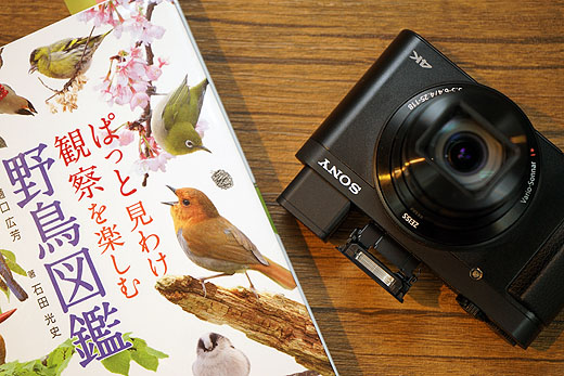 レビュー】野鳥観察にオススメ！ サイバーショット『DSC-HX99』開梱