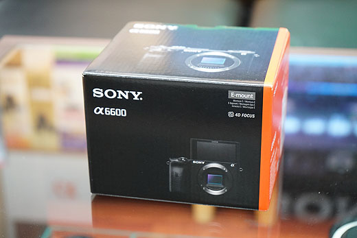 APS-Cミラーレス一眼のフラグシップモデル『α6600』総まとめレビュー