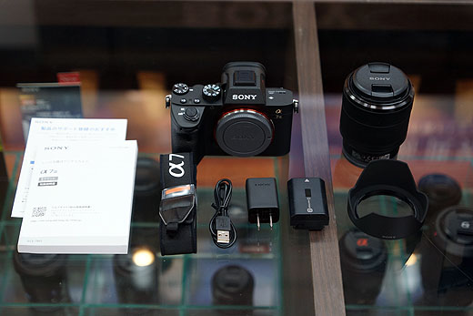 これで全てが分かる！ミラーレス一眼