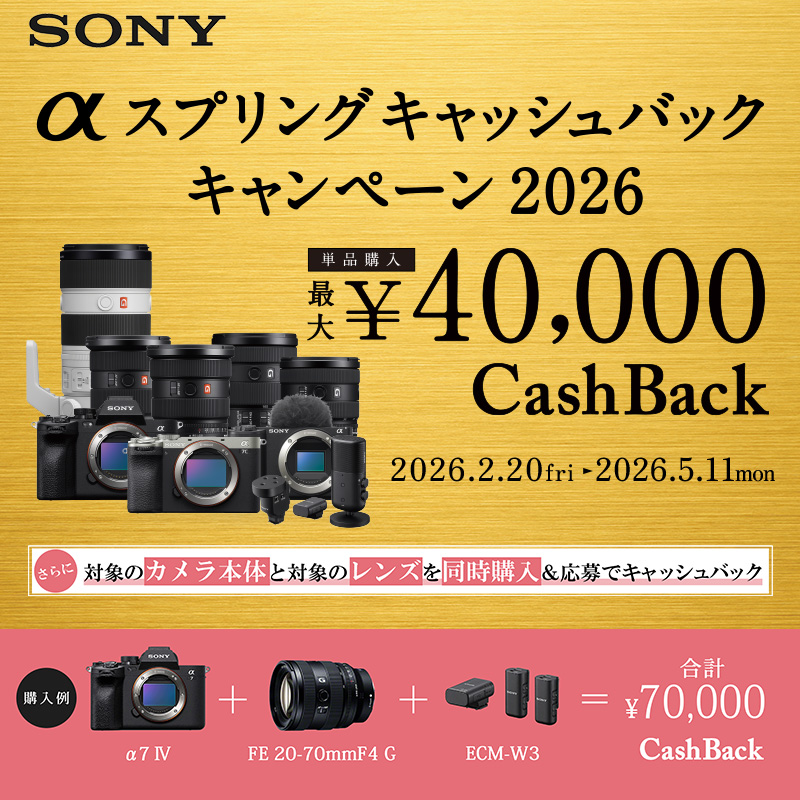まいたけ様期間限定値下‼️SONY α65 ❤️スマホ転送 トリプル ソニー