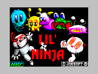 Lil' Ninja - Teknamic Software