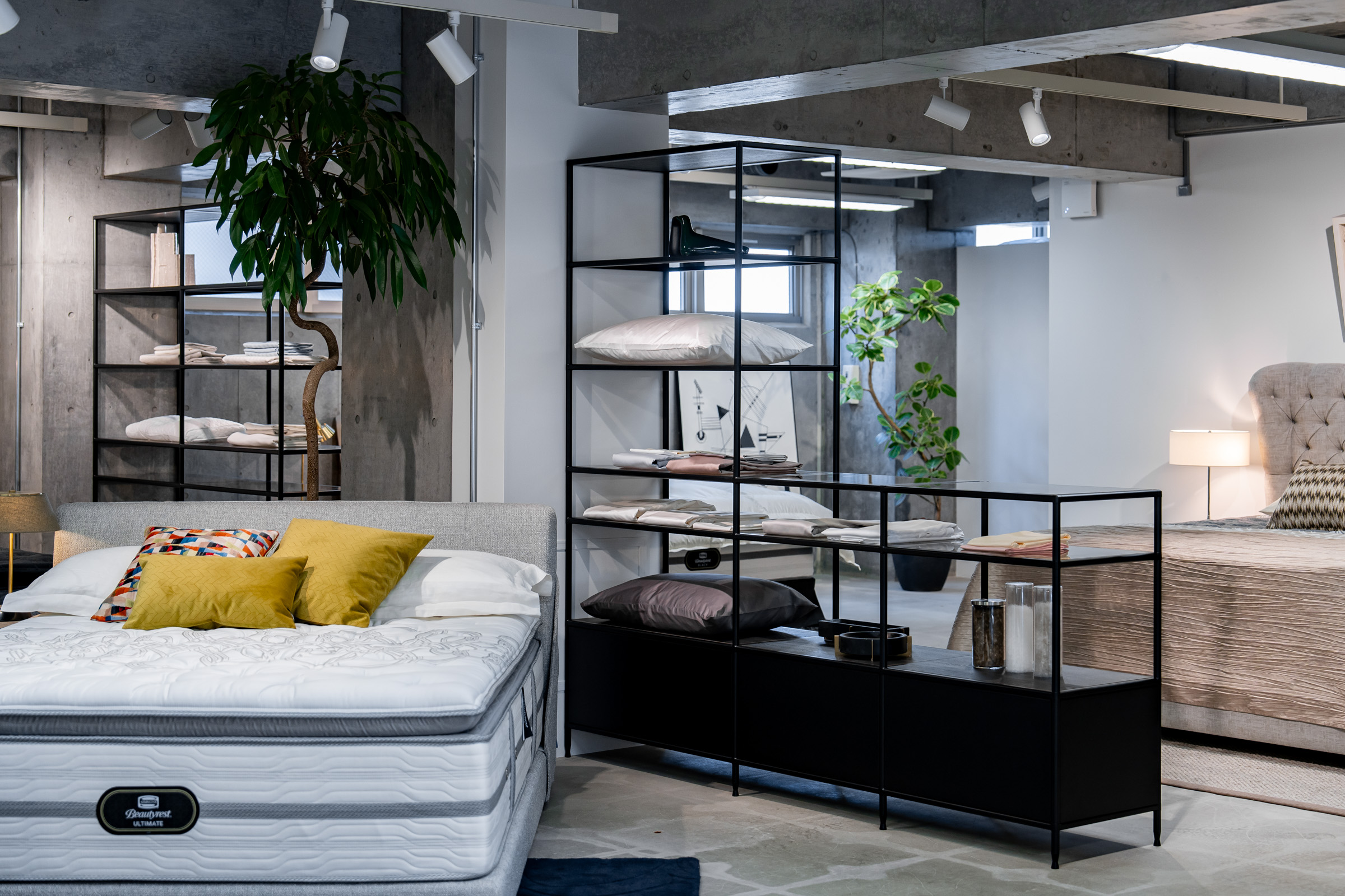 シモンズ ビューティレスト 神宮前 | モジュール家具 Tesera