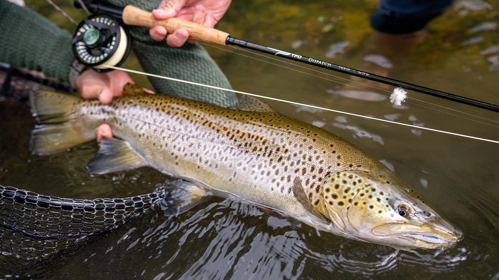 Fly Fishing - Temple Fork Outfitters