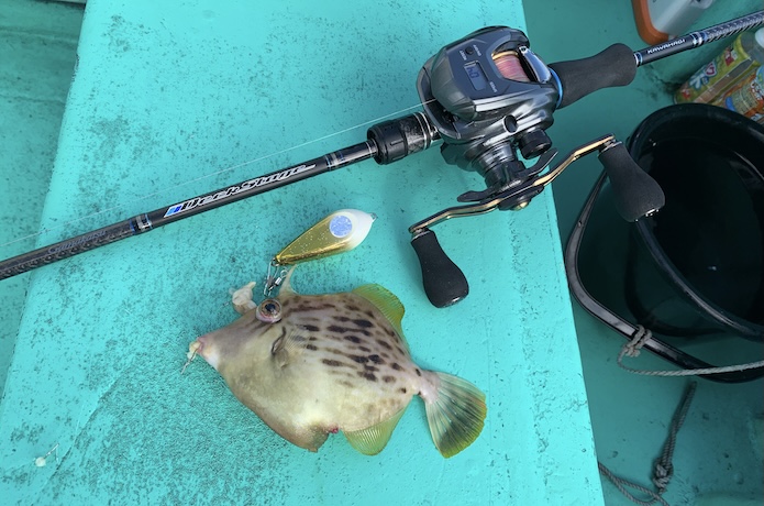 2026年最新】船カワハギリールの選び方とおすすめ機種10選｜初心者が