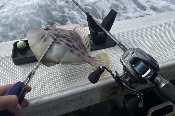 2026年最新】船カワハギリールの選び方とおすすめ機種10選｜初心者が