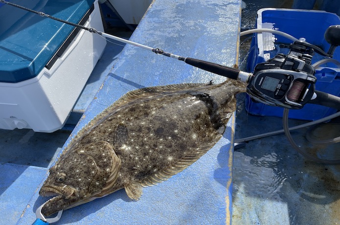 インプレ】万能船竿！「シマノ ライトゲーム リミテッド モデラート