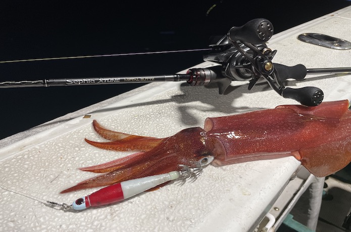 軽量高感度！シマノ セフィアエクスチューン メタルスッテ B66M-S/Fを