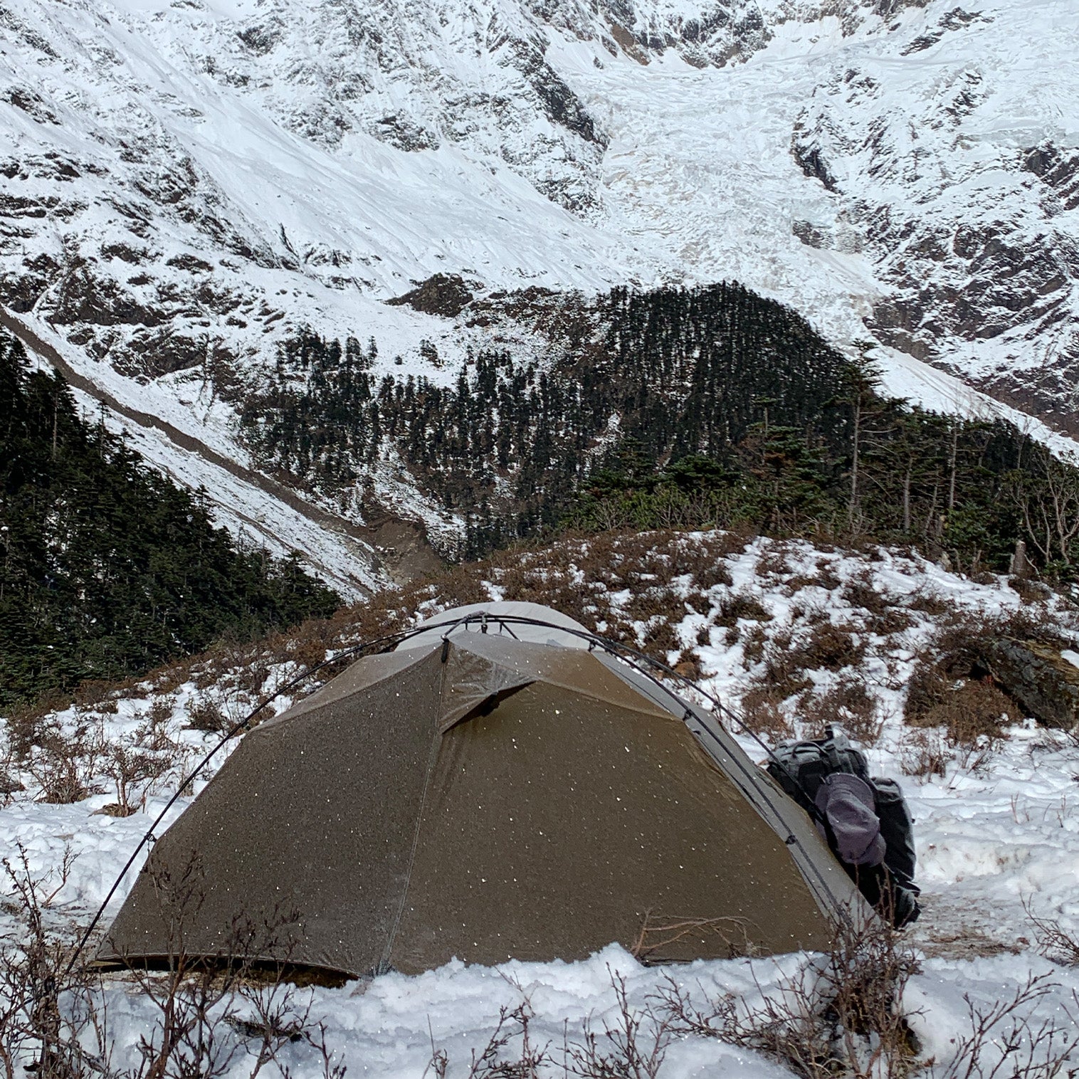 Goromity – THE FREE SPIRITS