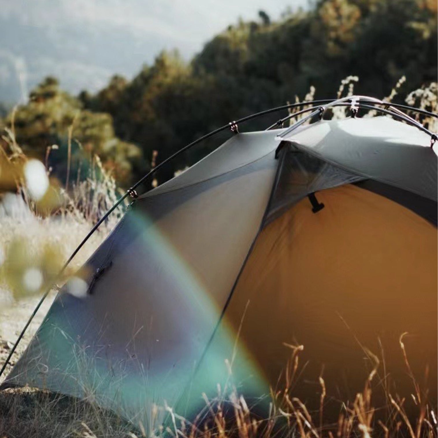 Goromity – THE FREE SPIRITS