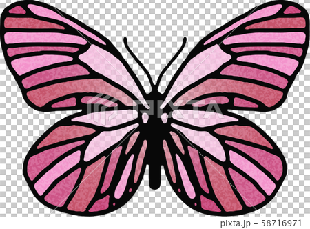 蝶 ステンドグラス（ピンク）のイラスト素材 [58716971] - PIXTA