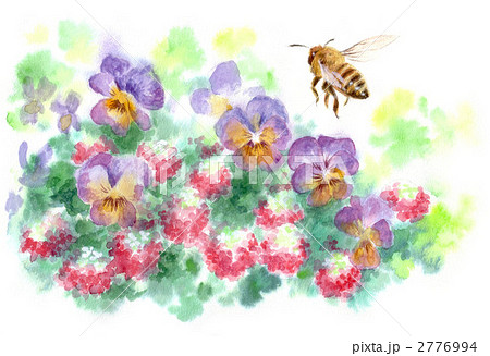 花とミツバチ1のイラスト素材 [2776994] - PIXTA
