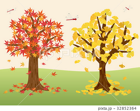 もみじの木とイチョウの木のイラスト素材 [32852364] - PIXTA