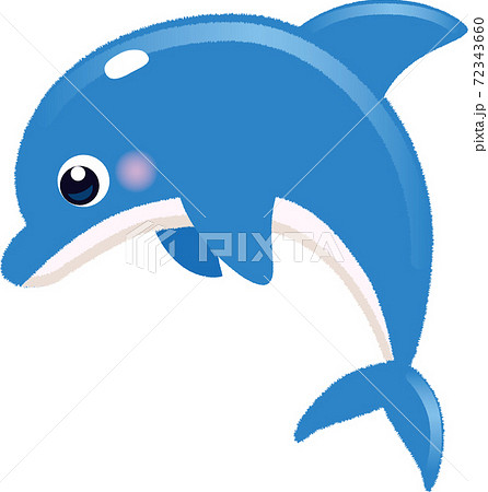 イルカのイラスト素材 [72343660] - PIXTA