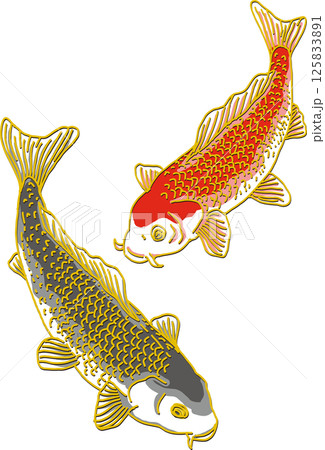 こい 魚 コイ 鯉のイラスト素材 - PIXTA