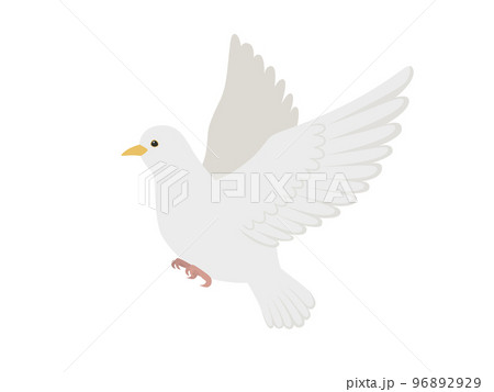 平和の象徴 鳥の写真素材 - PIXTA