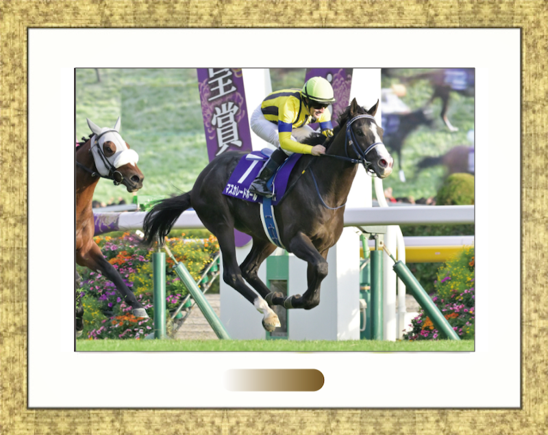 サラブレッドライフ サラブレッドライフ | ステイタス&ラグジュアリー