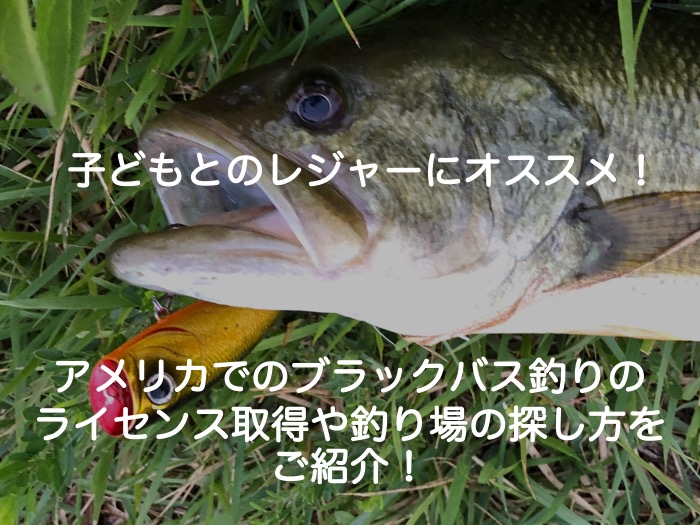 アメリカでバス釣り] ライセンス？釣り場はどう探す？徹底解説！ - ザ