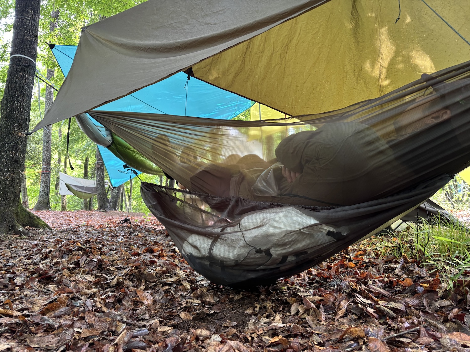 TRAILS（トレイルズ） | トレイルカルチャー・ウェブマガジン