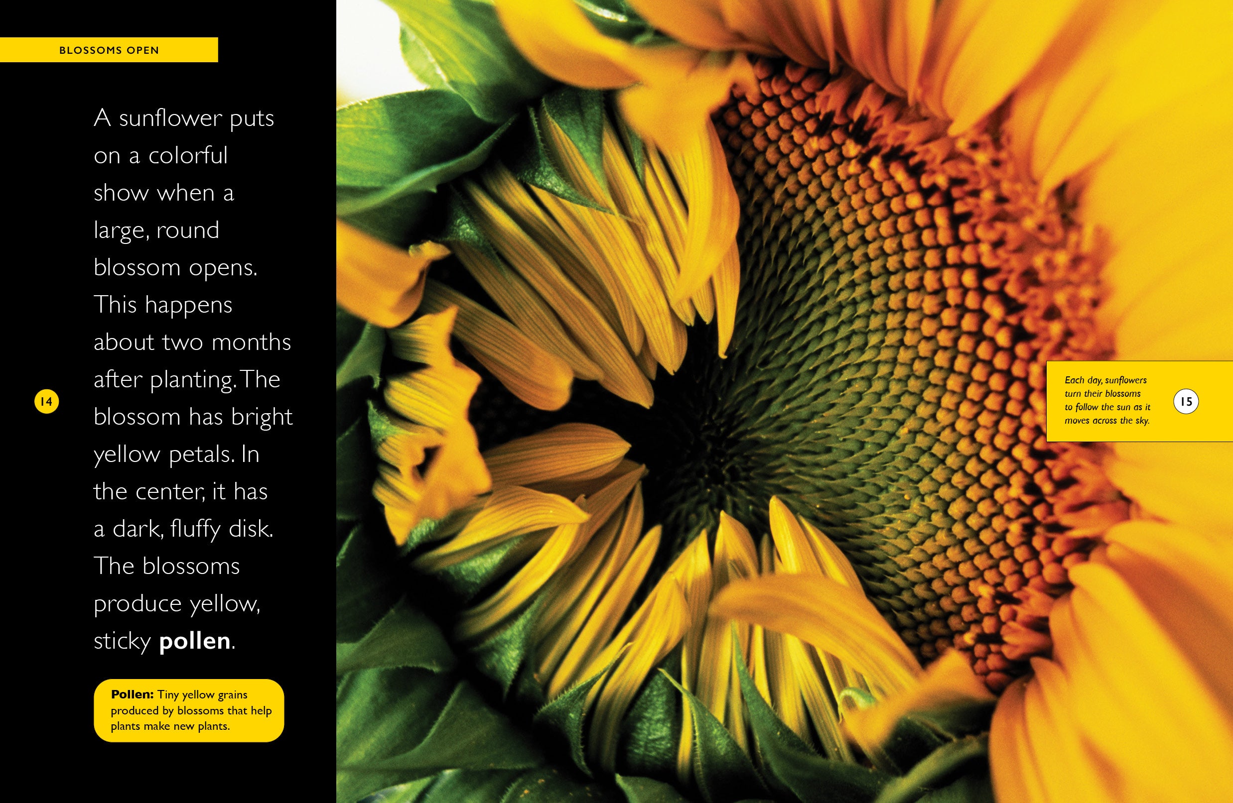 9781640268548_3.jpg?v=1720618634