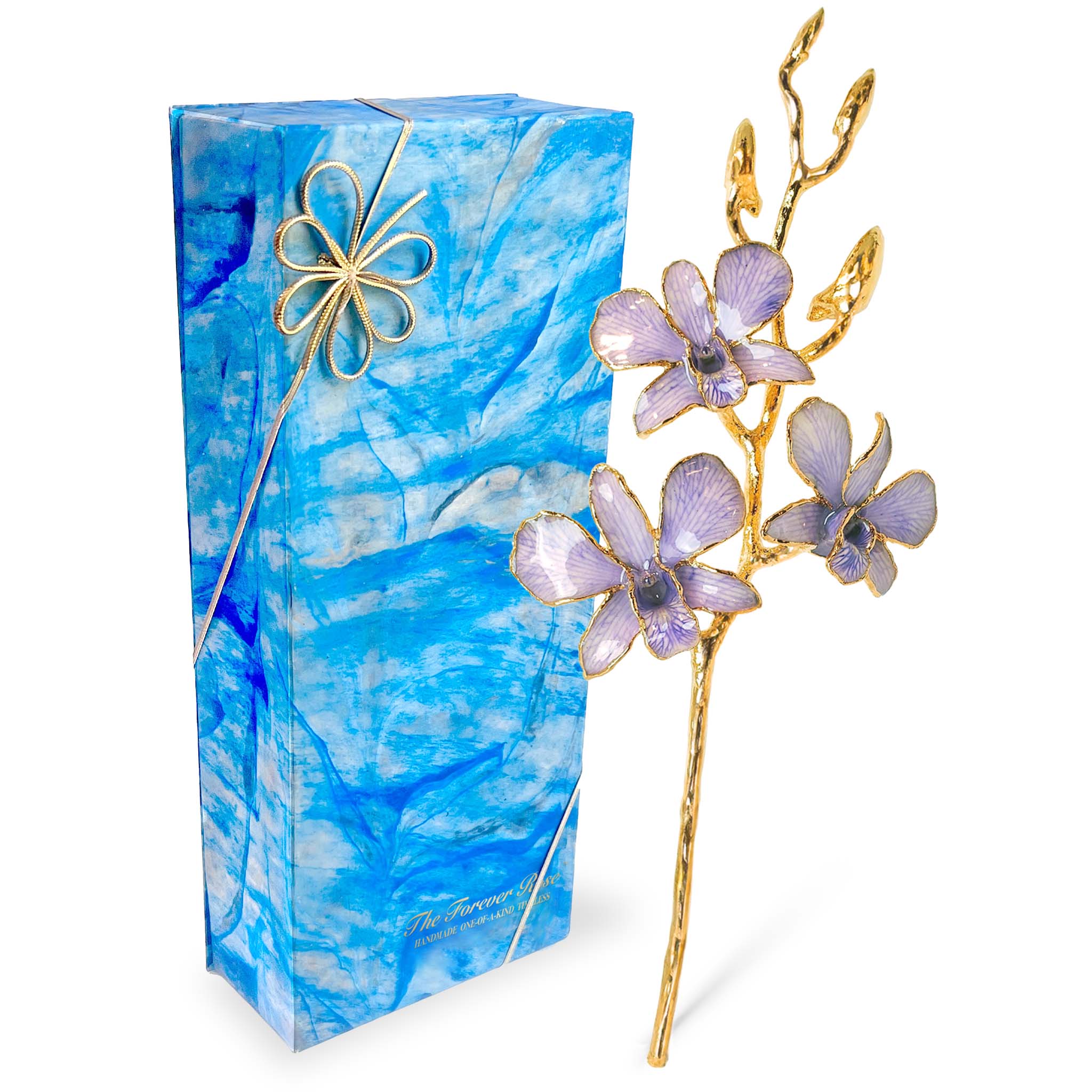 24K Gold Orchid - Lavender Lace - The Forever Rose