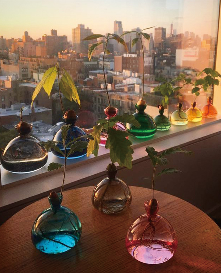 アイレックス スタジオ アボカド ガラス花瓶 ラピスラズリ ブルー